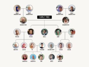 Family relations